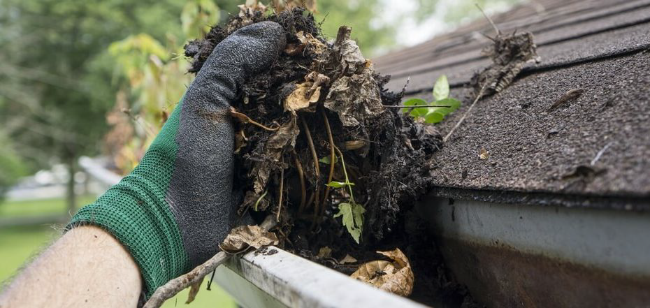 Gutter Maintenance