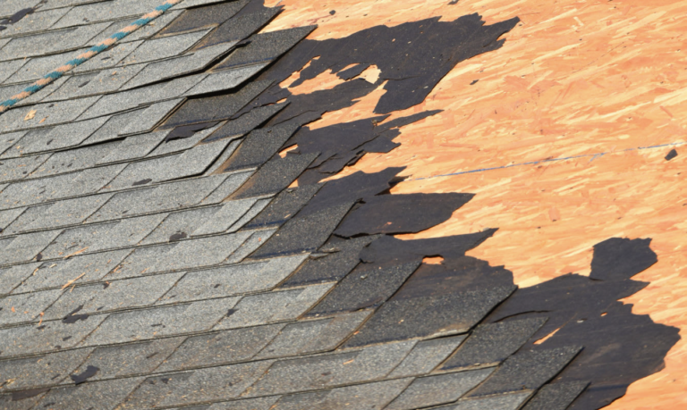 Roof Repair service in Janesville WI